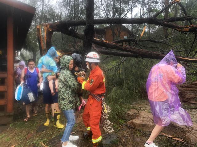 臺(tái)風(fēng)“米克拉”登陸福建漳浦 景區(qū)樹倒游客被困