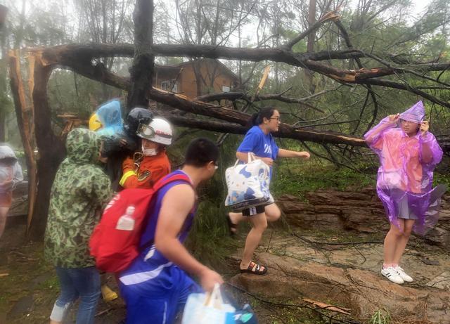 臺風“米克拉”登陸福建漳浦 景區(qū)樹倒游客被困(圖3)