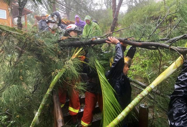 臺風“米克拉”登陸福建漳浦 景區(qū)樹倒游客被困(圖4)